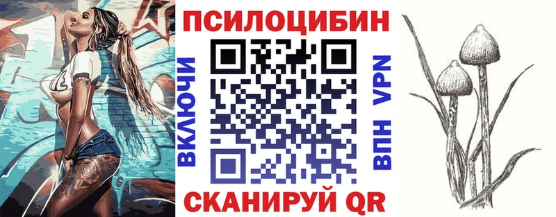 закладка  Волгоград  Галлюциногенные грибы Cubensis 